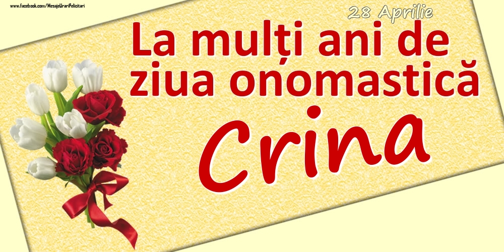 28 Aprilie: La mulți ani de ziua onomastică Crina | Felicitare cu lalele albe și trandafiri roșii pentru femei | Felicitari de Ziua Numelui