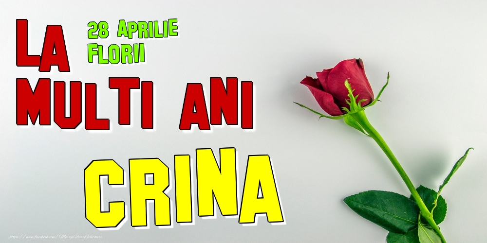 28 Aprilie - Florii -  La mulți ani Crina! | Felicitare cu trandafir roșu pentru pritenă, soție sau iubită | Felicitari de Ziua Numelui