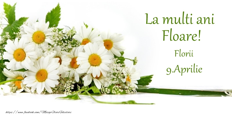 La multi ani, Floare! 9.Aprilie - Florii | Felicitare cu flori de camp pentru fete | Felicitari de Ziua Numelui