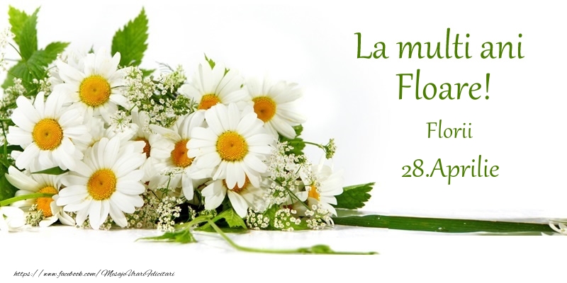 La multi ani, Floare! 28.Aprilie - Florii | Felicitare cu flori de camp pentru fete | Felicitari de Ziua Numelui